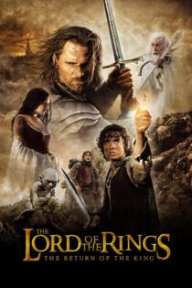 The Lord of the Rings 3 2003