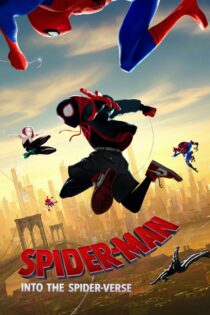 Spider-Man: Into the Spider-Verse 2018