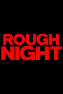 دانلود فیلم Rough Night 2017 شب سخت دانلود فیلم Rough Night 2017 شب سخت