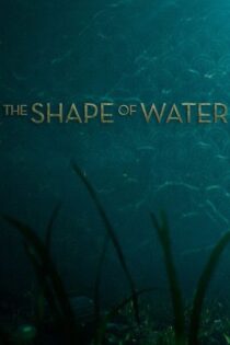 دانلود فیلم The Shape of Water 2017 شکل آب دانلود فیلم The Shape of Water 2017 شکل آب