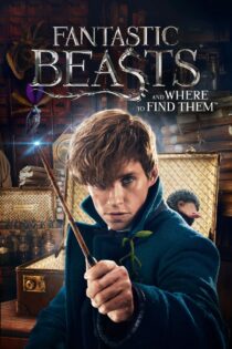 دانلود فیلم Fantastic Beasts 1 2016 جانوران شگفت انگیز 1 دانلود فیلم Fantastic Beasts 1 2016 جانوران شگفت انگیز 1