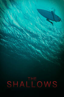 دانلود فیلم The Shallows 2016 آب های کم عمق دانلود فیلم The Shallows 2016 آب های کم عمق