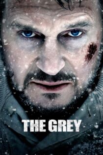دانلود فیلم The Grey 2011 خاکستری دانلود فیلم The Grey 2011 خاکستری