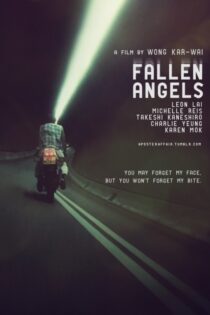 دانلود فیلم Fallen Angels 1995 فرشتگان سقوط کرده دانلود فیلم Fallen Angels 1995 فرشتگان سقوط کرده