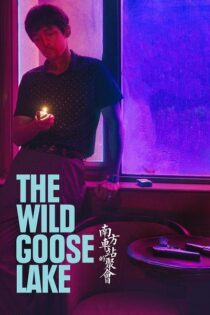 دانلود فیلم The Wild Goose Lake 2019 دریاچه غاز وحشی دانلود فیلم The Wild Goose Lake 2019 دریاچه غاز وحشی