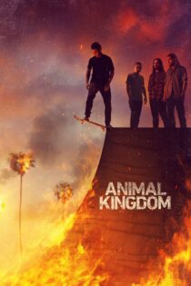 دانلود سریال Animal Kingdom قلمرو حیوانات دانلود سریال Animal Kingdom قلمرو حیوانات
