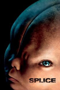 دانلود فیلم Splice 2009 شکاف دانلود فیلم Splice 2009 شکاف