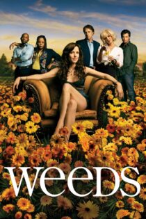 دانلود سریال Weeds علف دانلود سریال Weeds علف