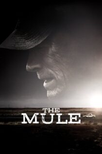 دانلود فیلم The Mule 2018 میول دانلود فیلم The Mule 2018 میول