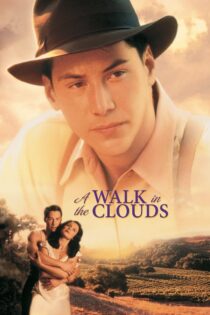 دانلود فیلم A Walk in the Clouds 1995 راه رفتن روی ابرها دانلود فیلم A Walk in the Clouds 1995 راه رفتن روی ابرها