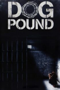 دانلود فیلم Dog Pound 2010 سگدونی دانلود فیلم Dog Pound 2010 سگدونی