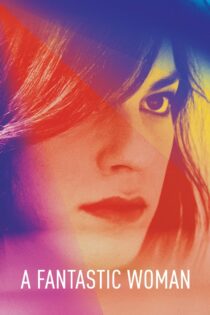 دانلود فیلم A Fantastic Woman 2017 یک زن شگفتانگیز دانلود فیلم A Fantastic Woman 2017 یک زن شگفتانگیز