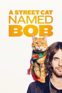 دانلود فیلم A Street Cat Named Bob 2016 گربه خیابانی به نام باب دانلود فیلم A Street Cat Named Bob 2016 گربه خیابانی به نام باب