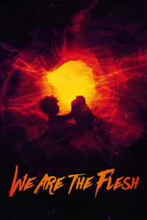 دانلود فیلم We Are the Flesh 2016 ما گوشت هستیم دانلود فیلم We Are the Flesh 2016 ما گوشت هستیم