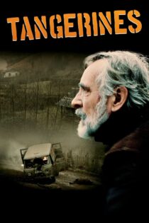 دانلود فیلم Tangerines 2013 نارنگیها دانلود فیلم Tangerines 2013 نارنگیها