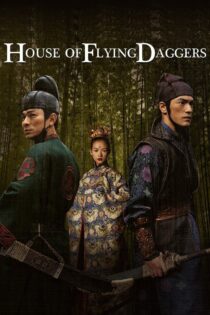 دانلود فیلم House of Flying Daggers 2004 خانه خنجرهای پران دانلود فیلم House of Flying Daggers 2004 خانه خنجرهای پران