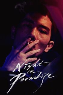 دانلود فیلم Night in Paradise 2020 شبی در پارادایس دانلود فیلم Night in Paradise 2020 شبی در پارادایس