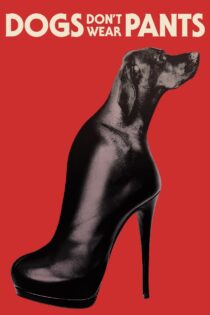 دانلود فیلم Dogs Don’t Wear Pants 2019 سگها شلوار نمی پوشند دانلود فیلم Dogs Don’t Wear Pants 2019 سگها شلوار نمی پوشند