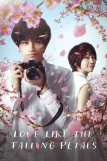 دانلود فیلم Love Like the Falling Petals 2022 عشقی مثل گلبرگ های در حال ریزش دانلود فیلم Love Like the Falling Petals 2022 عشقی مثل گلبرگ های در حال ریزش