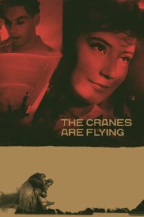 دانلود فیلم The Cranes Are Flying 1957 درناها پرواز میکنند دانلود فیلم The Cranes Are Flying 1957 درناها پرواز میکنند