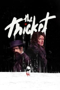 دانلود فیلم The Thicket 2024 بیشه دانلود فیلم The Thicket 2024 بیشه