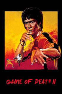 دانلود فیلم Game of Death II 1980 بازی مرگ 2 دانلود فیلم Game of Death II 1980 بازی مرگ 2