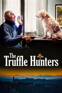 دانلود مستند The Truffle Hunters 2020 شکارچیان ترافل دانلود مستند The Truffle Hunters 2020 شکارچیان ترافل