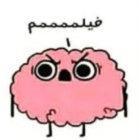 آواتار کاربر زهرا مهرداد