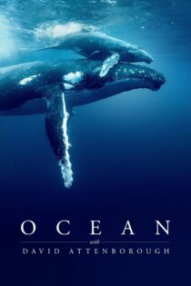 دانلود فیلم Ocean with David Attenborough 2025 اقیانوس با دیوید اتنبرو دانلود فیلم Ocean with David Attenborough 2025 اقیانوس با دیوید اتنبرو