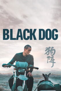 دانلود فیلم Black Dog 2024 سگ سیاه دانلود فیلم Black Dog 2024 سگ سیاه
