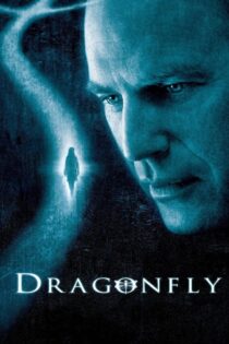 دانلود فیلم Dragonfly 2002 سنجاقک دانلود فیلم Dragonfly 2002 سنجاقک
