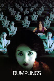 دانلود فیلم Dumplings 2004 دامپلینگها دانلود فیلم Dumplings 2004 دامپلینگها