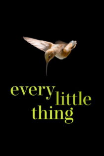 دانلود فیلم Every Little Thing 2024 هر چیز کوچک