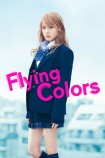 دانلود فیلم Flying Colors 2015 رنگهای پرواز دانلود فیلم Flying Colors 2015 رنگهای پرواز