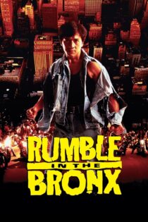 دانلود فیلم Rumble in the Bronx 1995 جنجال در برانکس