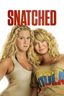 دانلود فیلم Snatched 2017 ربوده شده