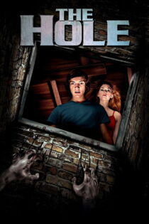 دانلود فیلم The Hole 2009 حفره