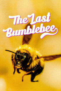 دانلود فیلم The Last Bumblebee 2024 آخرین زنبور بامبل