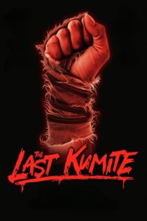 دانلود فیلم The Last Kumite 2024 آخرین کومیتِه