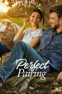 دانلود فیلم A Perfect Pairing 2022 یک زوج بی‌نقص