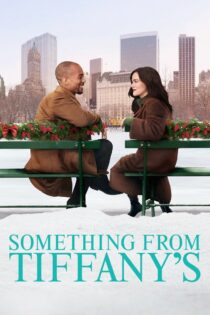 دانلود فیلم Something from Tiffany’s 2022 چیزی از تیفانی