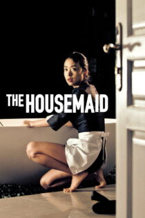 دانلود فیلم The Housemaid 2010 خدمتکار