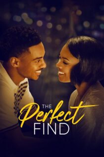 دانلود فیلم The Perfect Find 2023 یافت بی‌نقص
