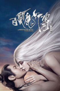 دانلود فیلم The White Haired Witch of Lunar Kingdom 2014 افسانهٔ جادوگر موی‌سفید