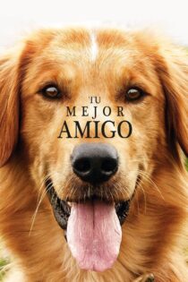 دانلود فیلم A Dog’s Purpose 2017 هدف یک سگ