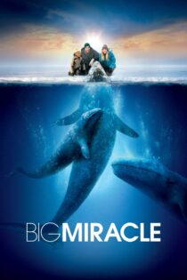 دانلود فیلم Big Miracle 2012 معجزه بزرگ دانلود فیلم Big Miracle 2012 معجزه بزرگ