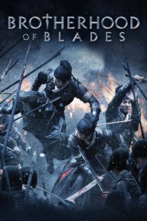 دانلود فیلم Brotherhood of Blades 2014 انجمن برادری شمشیرها دانلود فیلم Brotherhood of Blades 2014 انجمن برادری شمشیرها