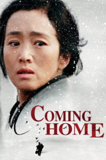 دانلود فیلم Coming Home 2014 بازگشت