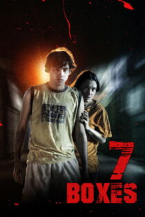 دانلود فیلم 7 Boxes 2012 ۷ جعبه