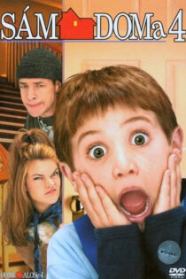 دانلود فیلم Home Alone 4: Taking Back the House 2002 تنهایی در خانه ۴: پس گرفتن خانه